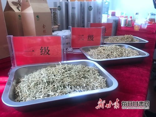 李家店群众脱贫有 良药